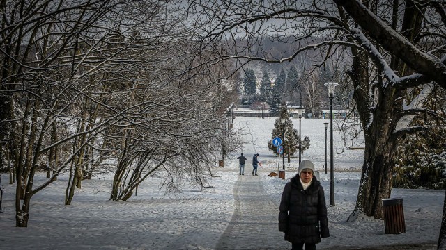 19.01.2024 chorzowpark slaski zima fot. marzena bugala-astaszow/ /dziennik zachodni/ polska press