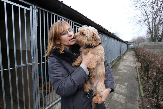 Cieszę się, że nasze psy coraz częściej wracają do swoich domów lub znajdują nowe - mówi Anna Jaroszewicz