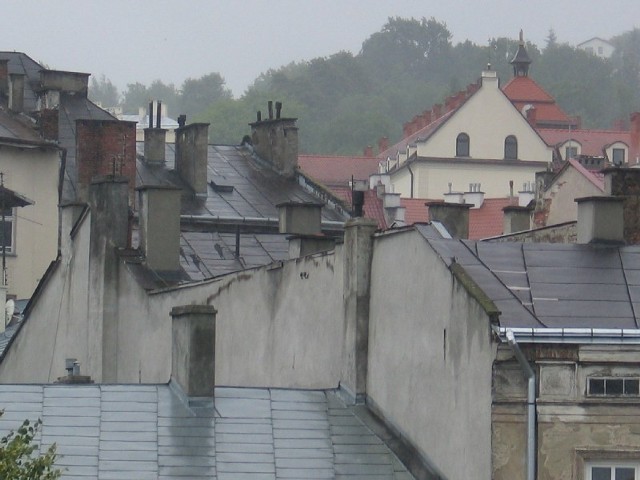 Zwarta zabudowa, położenie w dolinie utrudniające wentylację i sporo indywidualnych pieców powoduje, że centrum Przemyśla należy do najbardziej zanieczyszczonych miast w Podkarpackiem.