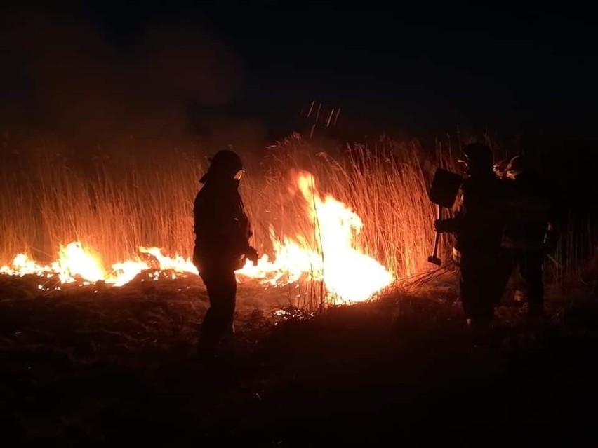 W sobotę także strażacy gasili pożar traw w Krasnymborze...