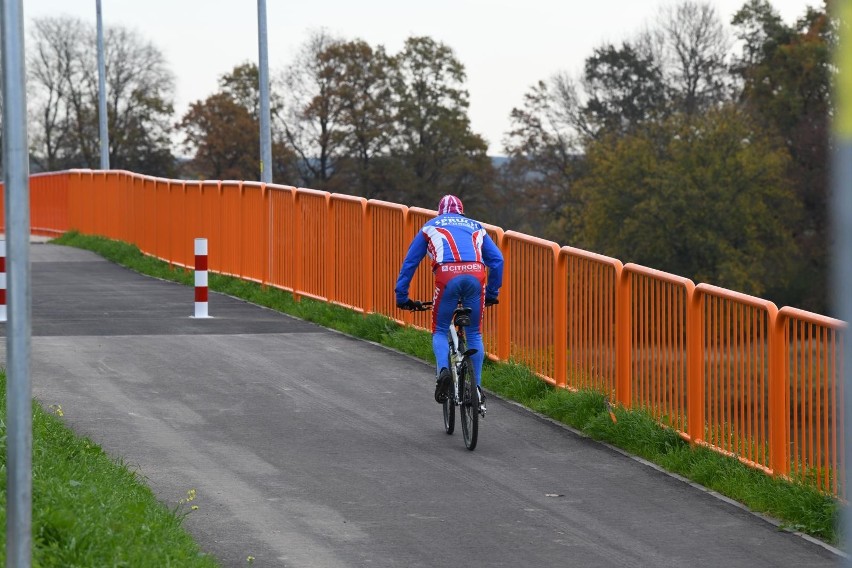 Takie są nowe mandaty dla rowerzystów. Bezkarność...