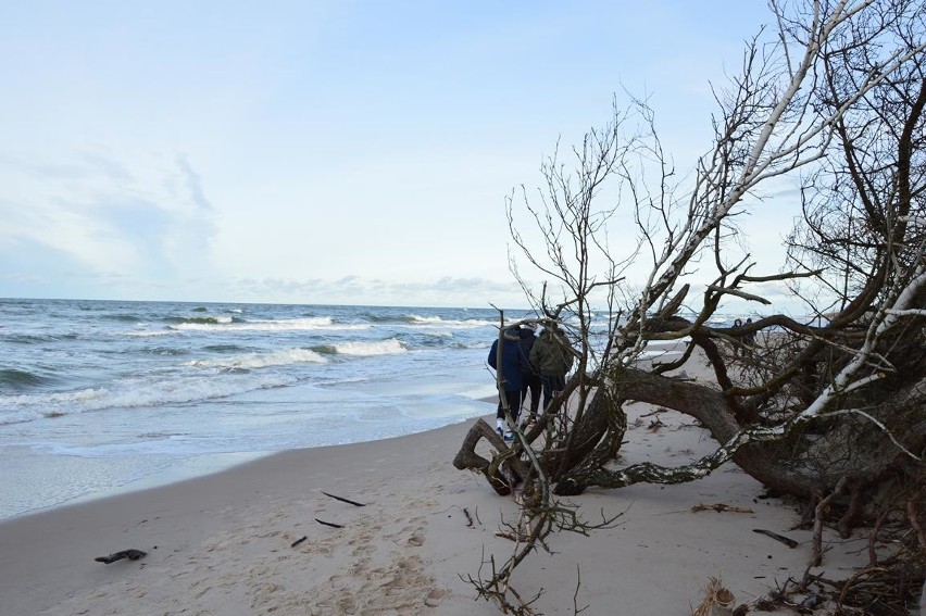 Plaża w Rowach zniszczona przez sztorm.