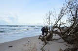 Piękna i dzika plaża w Rowach. Klif zniszczony przez sztorm  (galeria zdjęć). 