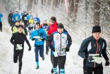 Bieganie na orientację w Białych Błotach w białej, śnieżnej scenerii [zdjęcia]