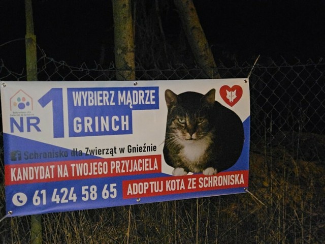 Na takie plakaty zdecydował się jeden z kandydatów na radnych do Rady Miasta w Gnieźnie.