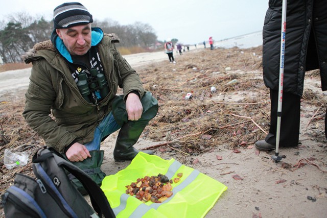 Bursztynowe eldorado zaczęło się w poniedziałek wieczorem. Od tego momentu na plaży praktycznie cały czas ktoś przeszukuje to co wyrzuciło na brzeg morze