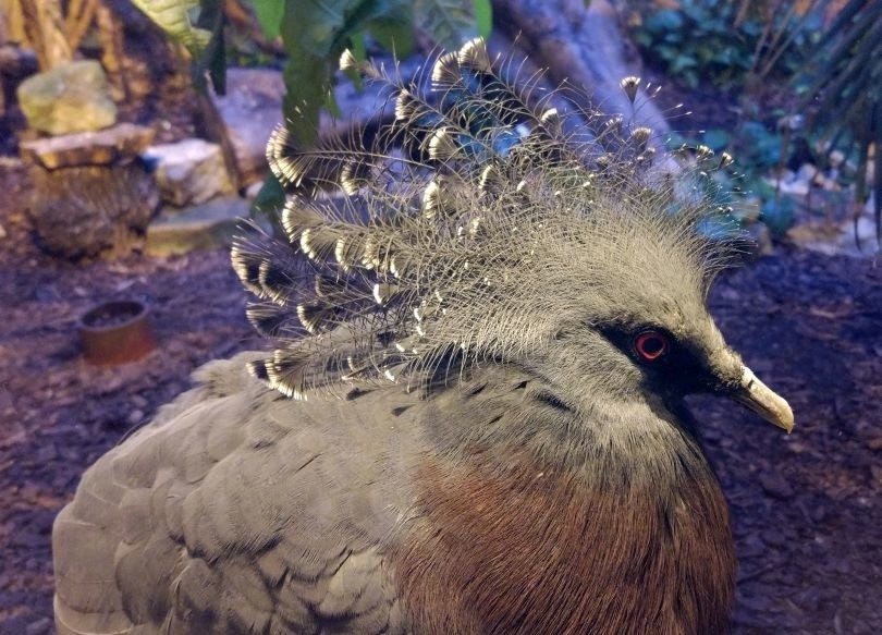 Łódzki ogród zoologiczny