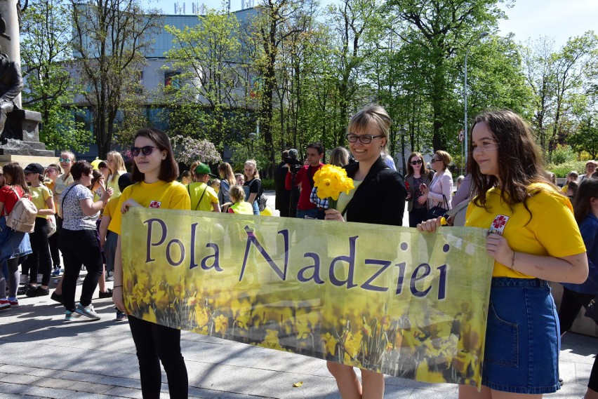W piątek w Kielcach odbył się Marsz Żonkila, zorganizowany...