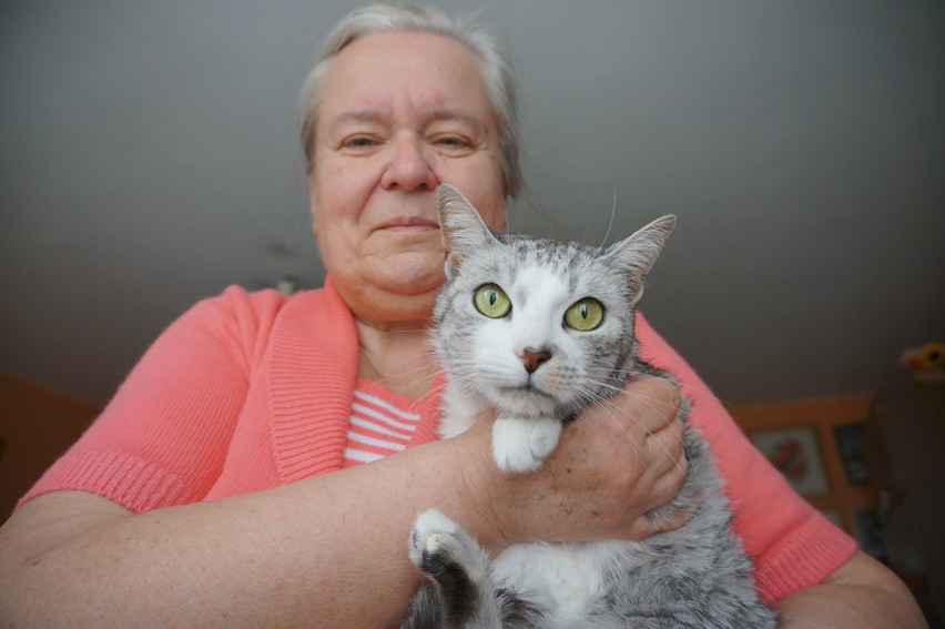 Pani Elżbieta na zdjęciu ze swoim kotem Smolinoskiem....
