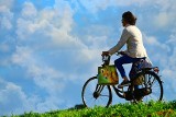 InduStrada tylko w Tarnowskich Górach połączyłaby szlakiem rowerowym 28 zabytków wpisanych na Listę światowego dziedzictwa UNESCO
