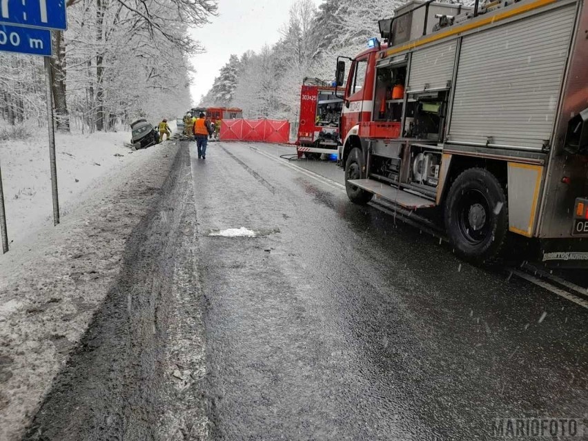Śmiertelny wypadek na DK46 w okolicy Dąbrowy.