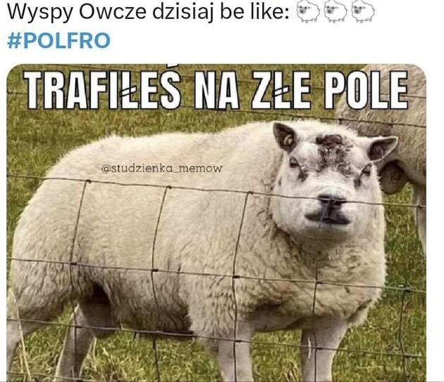 Internauci komentowali mecz Polska - Wyspy Owcze....