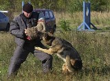 Ćwiczyły psy policyjne i ich przewodnicy