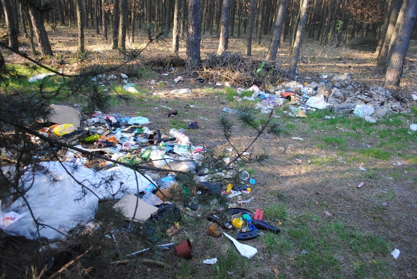 Takich wysypisk śmieci w lasach wokół Pieczysk jest więcej