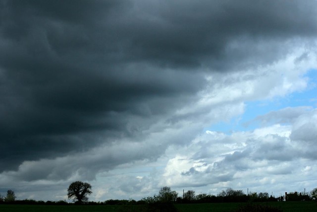 Długi weekend zacznie się w piątek 29 kwietnia. Jak podaje portal www.accuweather.com, synoptycy przewidują w dzień duże zachmurzenie, ale bez opadów. Temperatura maksymalna wyniesie około +17 st. C. Natomiast w nocy mogą wystąpić opady deszczu, przy temperaturze około +9 st. C.