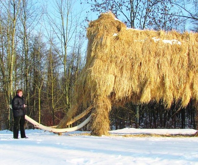 Słomiany mamut zachęca do zwiedzania nowego Muzeum Wigier w Starym Folwarku