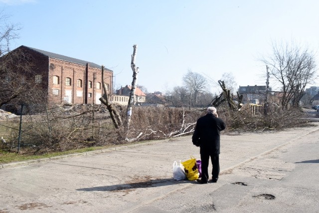 Czytelniczka zadzwoniła do nas: - Stoję w oknie i płakać mi się chce, jak patrzę na kolejną wycinkę. Tyle się mówi o zieleni. To, gdzie ona ma rosnąć.- Od wtorku trwa cięcie - mówi Czytelniczka, mieszkająca w wieżowcach przy ulicy Lisiej w Zielonej Górze. - Zgroza, nie mogę na to patrzeć. Ile czasu muszą rosnąć takie drzewa? Tyle się mówi o zieleni, jak jest ważna, a tu w kilka godzin znikają drzewa.Ulica Lisia wkrótce zacznie się zmieniać w okolicy starej mleczarni. W okolicy powstaną nowoczesne apartamentowce. Do tematu wrócimy.POLECAMY:KOLEJNE DRZEWA ZNIKAJĄ W ZIELONEJ GÓRZE