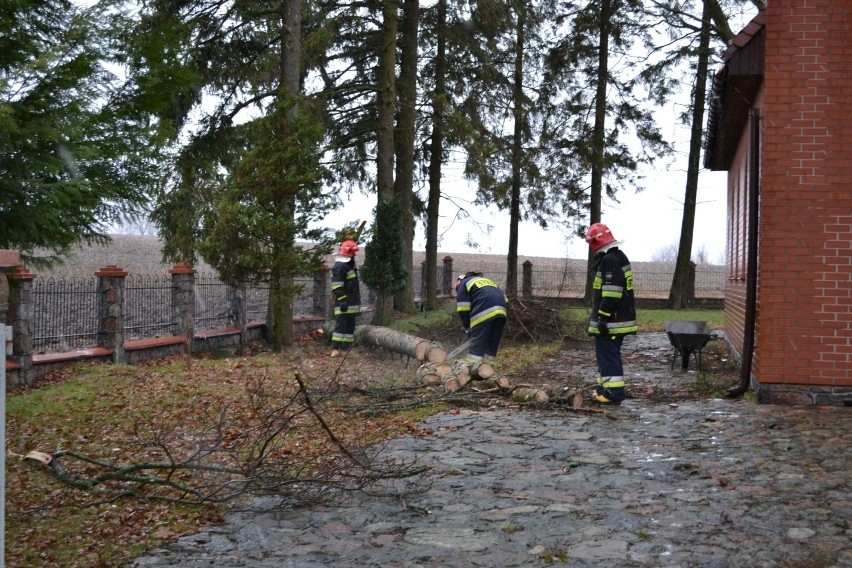 Akcja usuwania drzewa w Hopowie - spadło na dach kaplicy