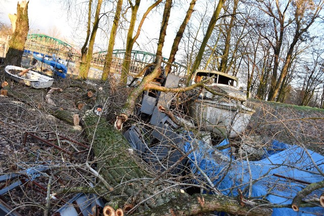 Orkan Ciara. Wichura powaliła drzewa na terenie przystani kajakowej nad Odrą w Opolu.