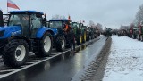 Protest generalny rolników w Radomiu. Na ulice miasta wyjechało ponad dwieście ciągników. Zobacz zdjęcia i wideo