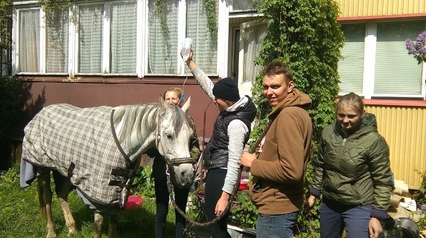 Koń otrzymał pomoc na osiedlu Białostoczek.