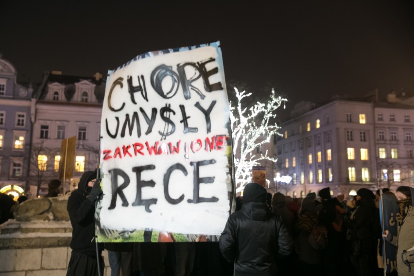 Dziki protest w obronie dzików w Krakowie. "Dzik czuje, tak...