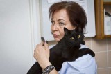 Rademenes - kot pielęgniarz z bydgoskiego schroniska - podbija polskie media