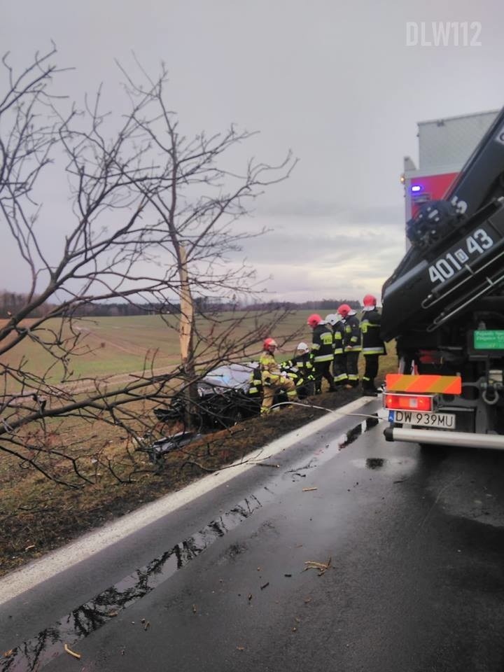 Tragiczny wypadek na DK94. Kierowca nie żyje [ZDJĘCIA]