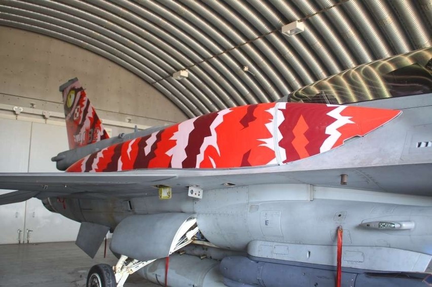 Polskie F-16 w tygrysich malowaniach przed NATO Tiger Meet