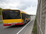 Czy trasy kieleckich linii autobusowych są odpowiednie? Weź udział w konsultacjach