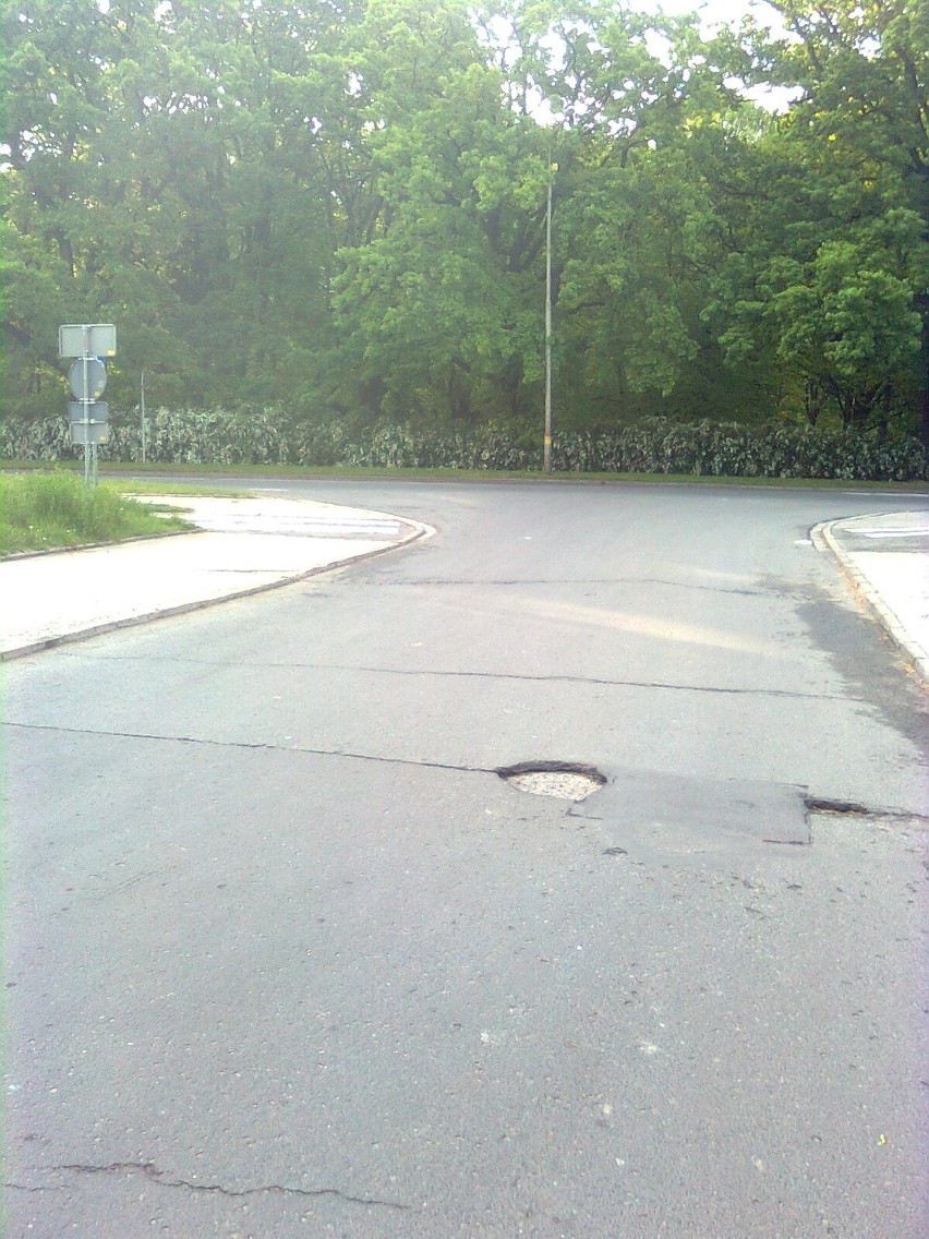Wrocław: Mieszkańcy Kozanowa pokazują, co można zrobić z dziurami w jezdni (ZDJĘCIA)