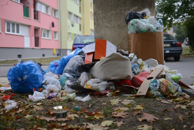 Podwyżki za śmieci dotkną wszystkich mieszkańców.
