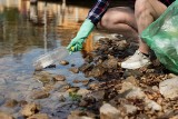 Gmina Małogoszcz organizuje #trashchallenge, czyli śmieciowe wyzwanie. Sprzątnij swoją okolicę dla dobra Ziemi. Sprawdź szczegóły