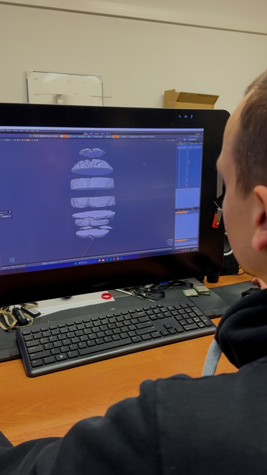Mózg, serce i płuca. Studenci KUL uczą się na modelach narządów wydrukowanych w technice 3D