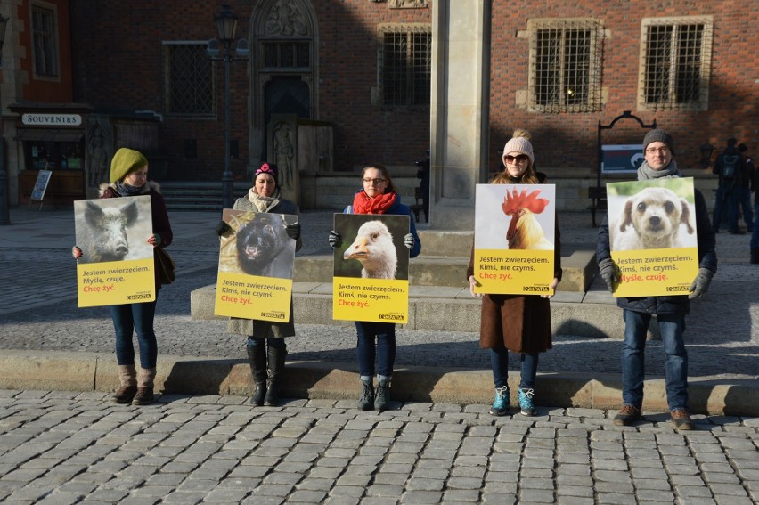 Manifestacja w obronie zwierząt (ZDJĘCIA)