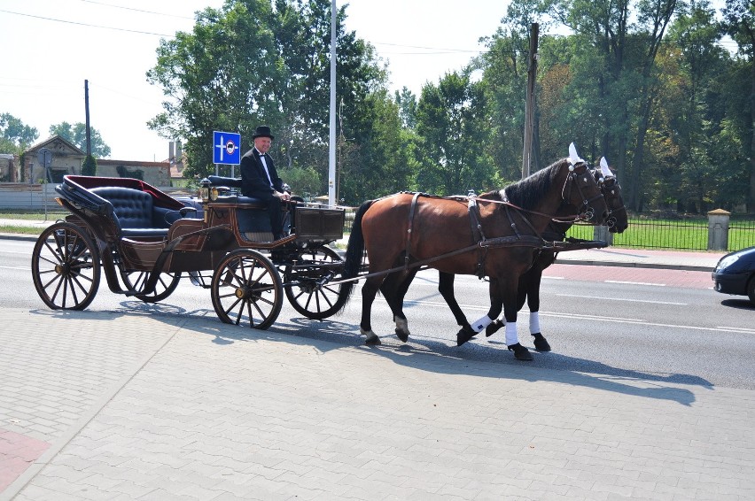 Święto Chleba w Tarnobrzegu