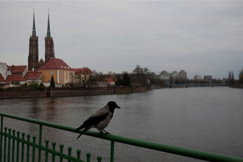 Nakręć Wrocław komórką. Wygraj 3000 zł [WASZE NOWE FILMY]