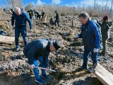 Łączą nas drzewa. Akcja sadzenia drzew Nadleśnictwa Lipusz i gminy Parchowo