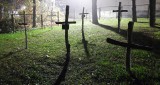 Cmentarz wojenny w Małkini Górnej 1.11.2022. Zdjęcia