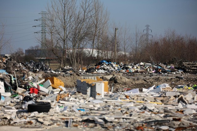 Minister środowiska i klimatu Anna Moskwa powiedziała, że zgodnie z wyrokami sądów, Niemcy muszą zabrać wwożone do Polski śmieci.