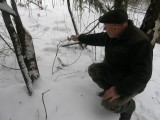 Podsumowanie akcji "Choinka". Kradli stroisz, nielegalnie wycinali drzewa i zakładali wnyki na zwierzęta w lasach w regionie radomskim