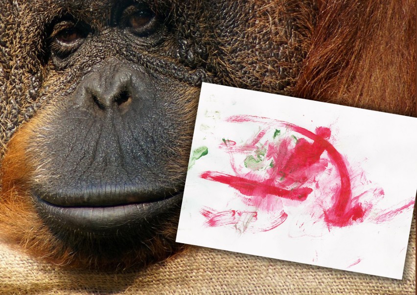 Obrazek namalowany przez orangutanicę Raję z gdańskiego zoo na aukcji WOŚP