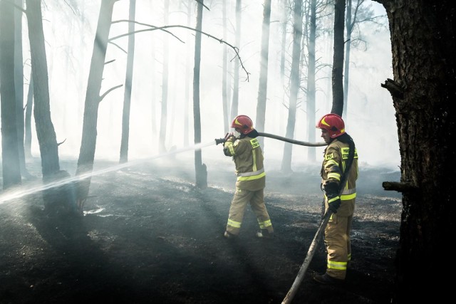 Jak wynika z danych na temat sytuacji pożarowej w lasach (dane na 25 marca) liczba pożarów od 1 stycznia 2022 wyniosła 1064. W ubiegłym roku w analogicznym okresie było to 113 pożarów. Na archiwalnym zdjęciu - akcja gaszenia lasu w Fordonie z 2019 roku