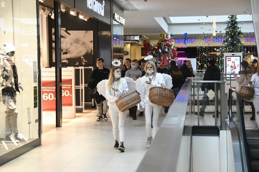 Ostatnie chwile na świąteczne zakupy w Galerii Echo w Kielcach. Tłumy ludzi szukają prezentów. Zobaczcie zdjęcia