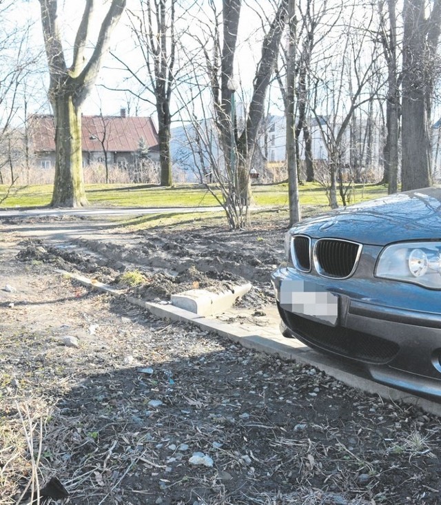 Kiedy wczoraj wybraliśmy się do parku, to w kilku miejscach można było zauważyć rozjeżdżone trawniki