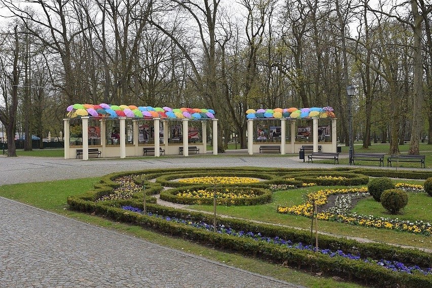Inowrocław. Pergola w Parku Solankowym zwraca uwagę kolorowymi parasolkami i wystawą zdjęć różnych zakątków miasta [zdjęcia]