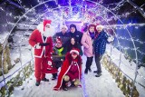 Świąteczna iluminacja w Damnicy koło Słupska. Tysiące światełek przyciągają mieszkańców i turystów [ZDJĘCIA]