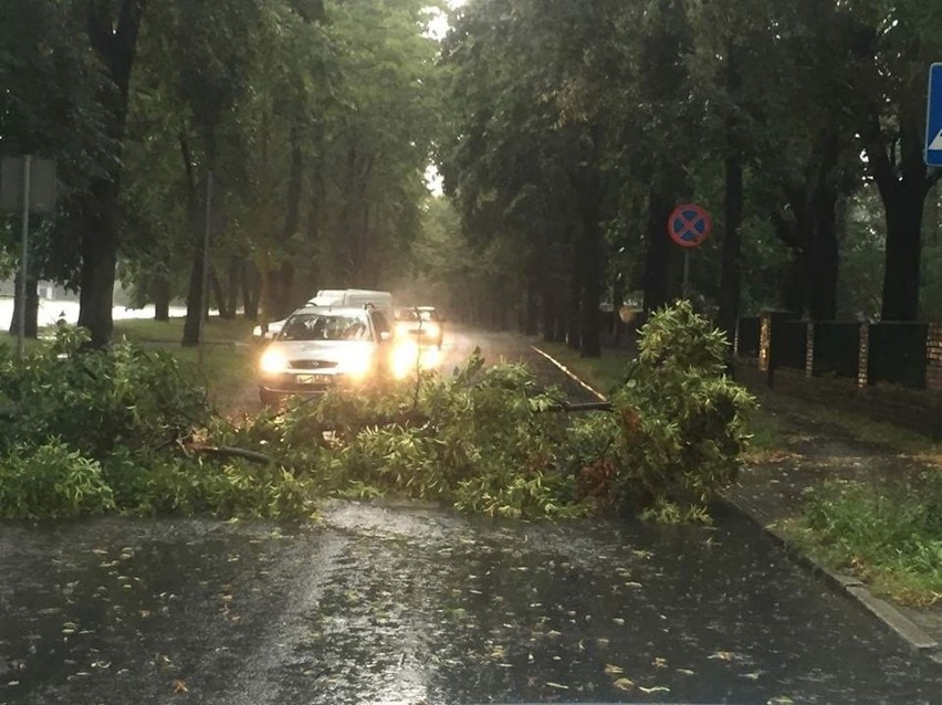 Zalane Gliwice na zdjęciach internautów