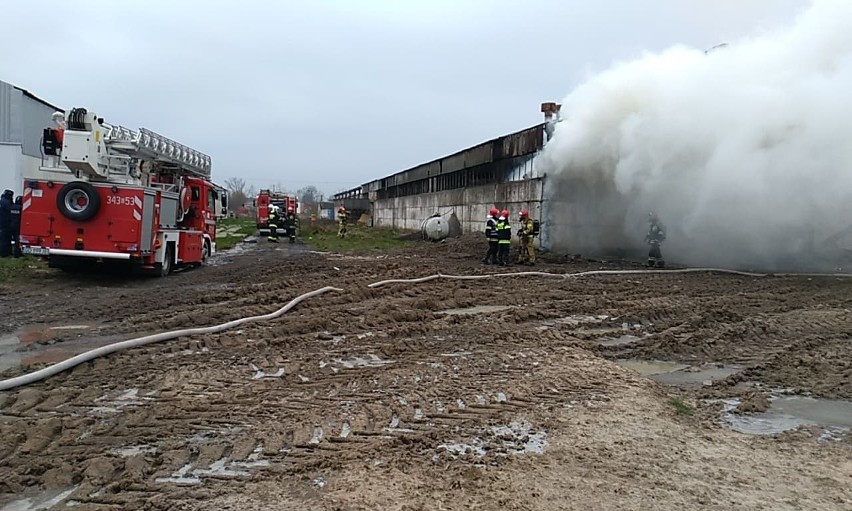 Państwowa Straż Pożarna i strażacy OSP walczyli z pożarem...