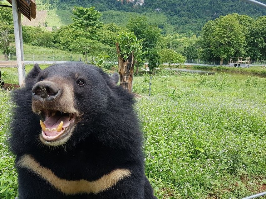 W sobotę za darmo do zoo. Sprawdź kto może skorzystać.